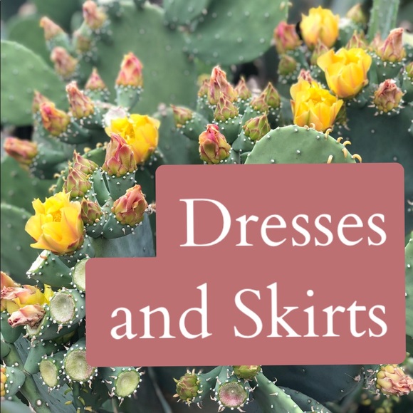 Dresses and Skirts